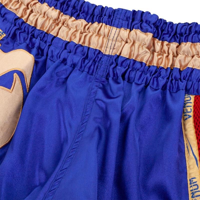 Giant Muay Thai Shorts - Navy/Gold