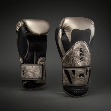 Challenger 4.0 Boxing Gloves - Silver Black