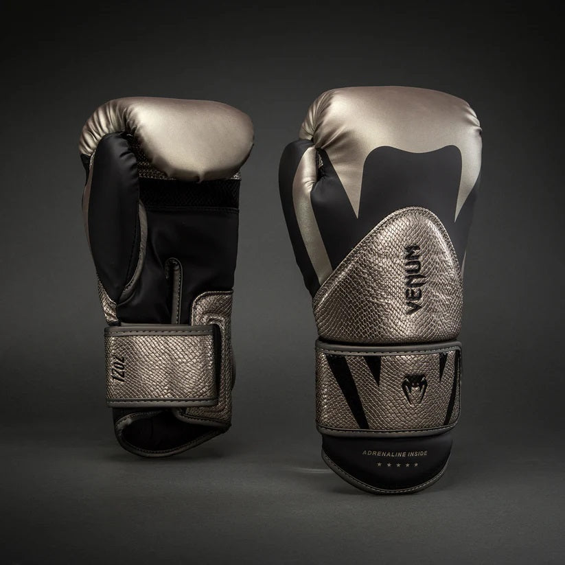 Challenger 4.0 Boxing Gloves - Silver Black