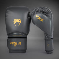 Contender 1.5 Kids Boxing Gloves - Grey/Gold